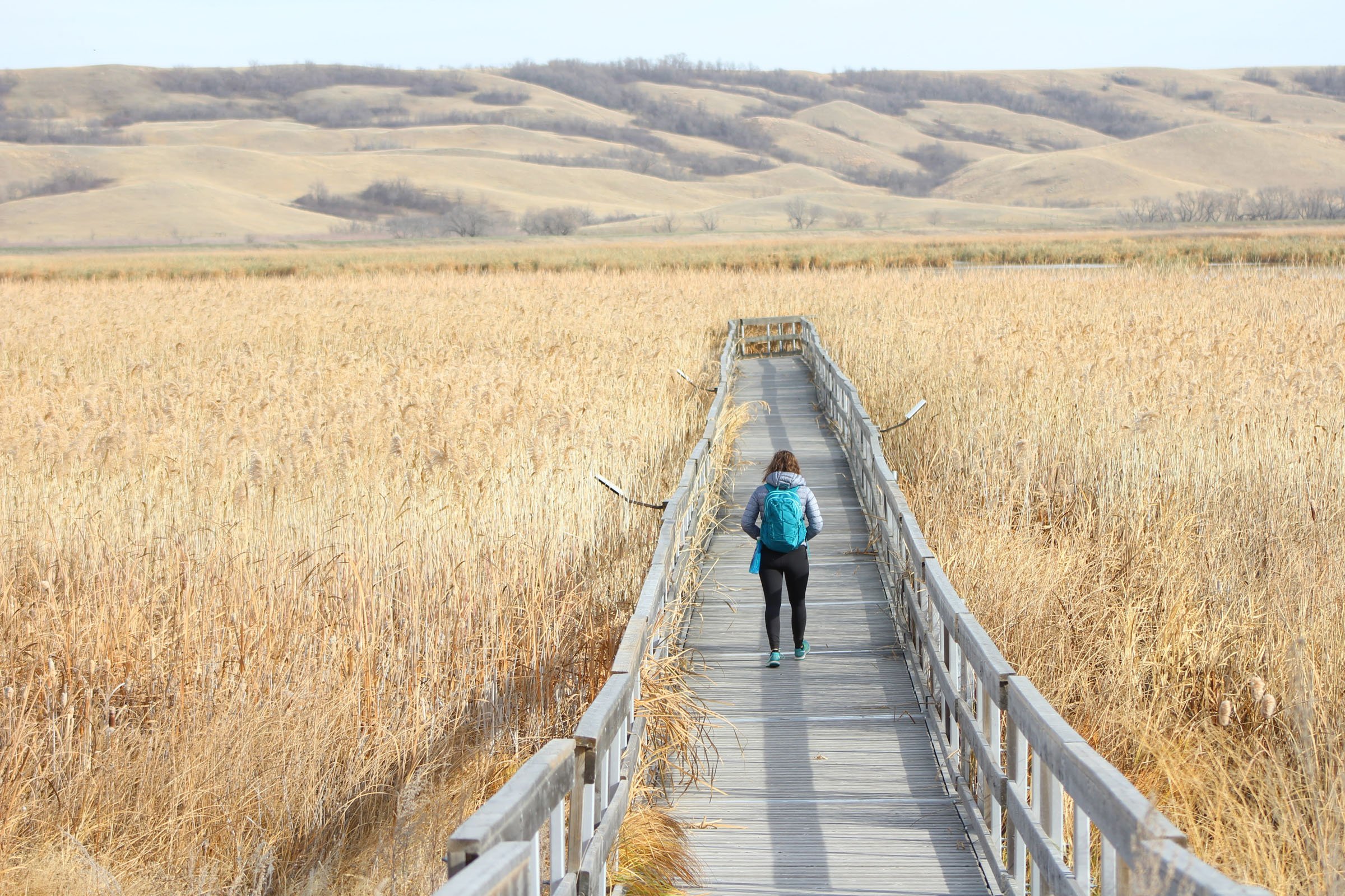 Buffalo Pound Provincial Park